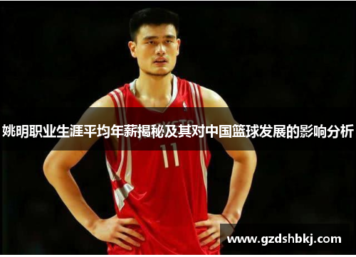 姚明职业生涯平均年薪揭秘及其对中国篮球发展的影响分析