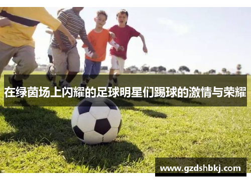 在绿茵场上闪耀的足球明星们踢球的激情与荣耀