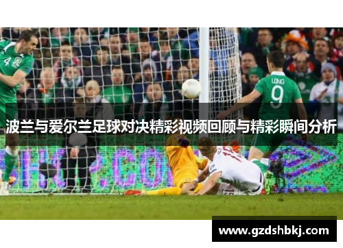 波兰与爱尔兰足球对决精彩视频回顾与精彩瞬间分析