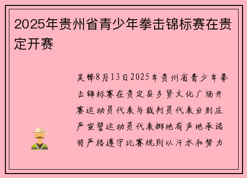 2025年贵州省青少年拳击锦标赛在贵定开赛
