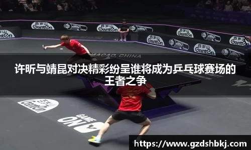 易游许昕与靖昆对决精彩纷呈谁将成为乒乓球赛场的王者之争